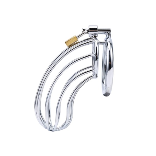 image_176ad816-2329-4549-98ff-5a5715d1f640