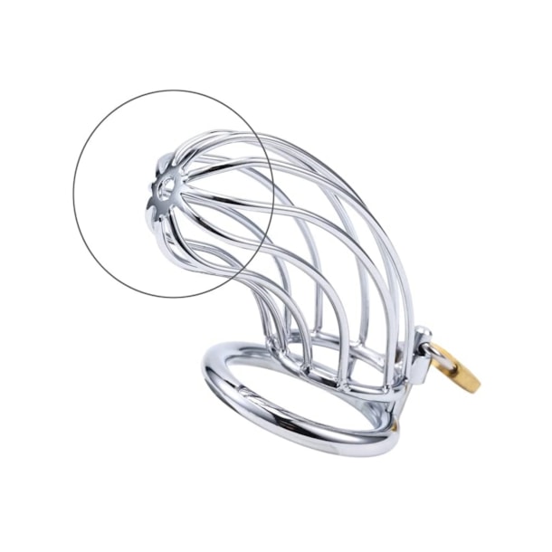 image_b334701c-7ea3-488d-af8c-70f9e39f7207