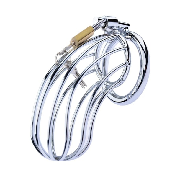 image_d2c552e5-e46b-49ad-b494-3a9e10ac3367