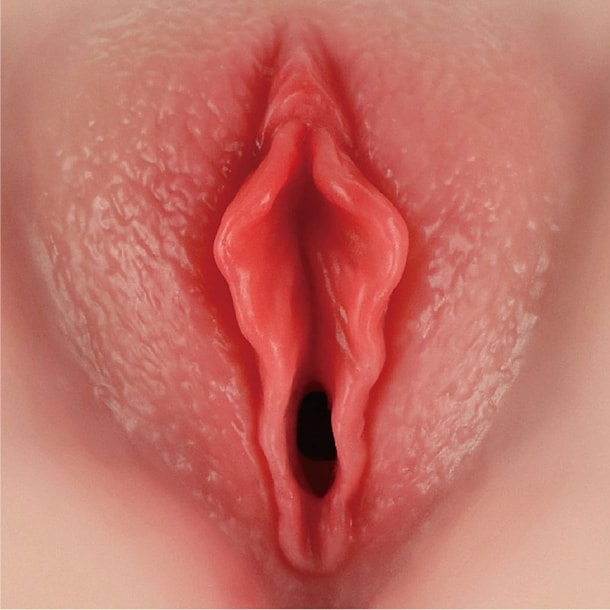 image_b895bba8-f63d-4a2c-9dd8-1a5c2fe3a135