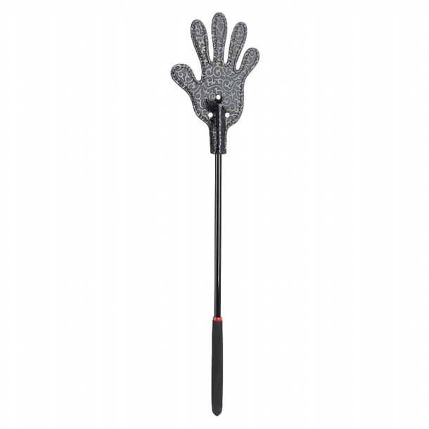 image_411b3036-60a0-44bb-9d0a-06bd507a5474