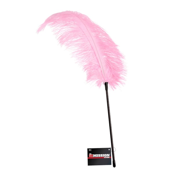 image_77601948-087d-487e-a556-ee82a38ef19f