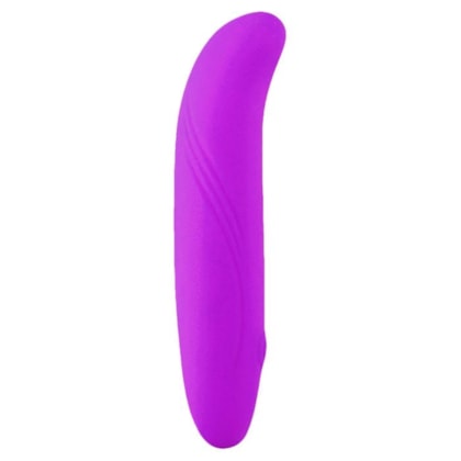 Vibrador do Ponto G Estilo Golfinho Recarregável